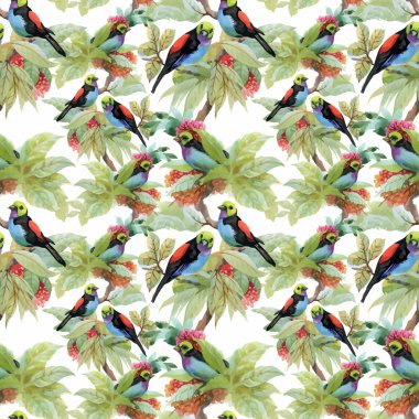 Yaz ve egzotik kuşlar ile desen
