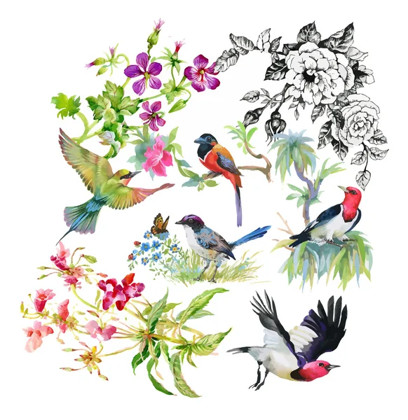 Patrón floral de acuarela — Archivo Imágenes Vectoriales