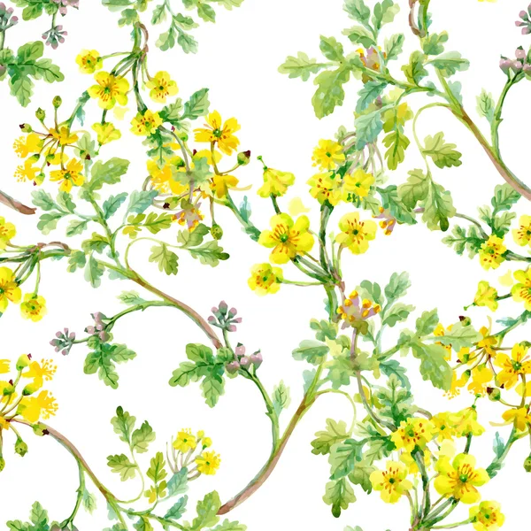 Belle aquarelle jardin d'été floraison fleurs modèle sans couture — Image vectorielle