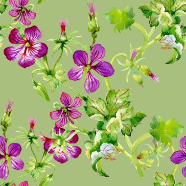 Hibiscus çiçek arka plan