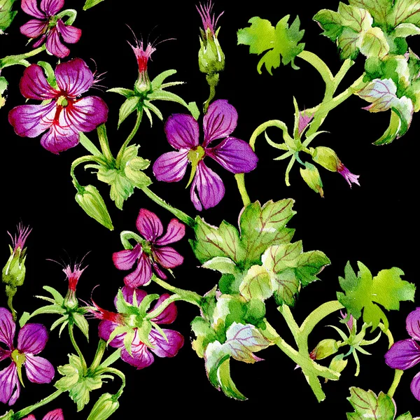 Hibiszkusz virágok háttér — Stock Fotó