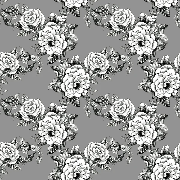 Blooming roses sketch background — Stock Photo, Image