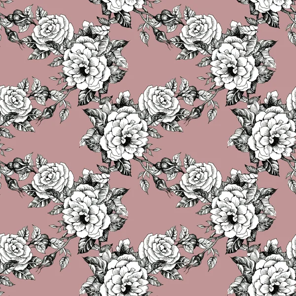 Blühende Rosen skizzieren Hintergrund — Stockfoto