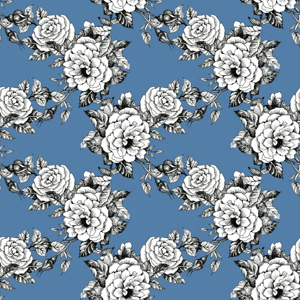 Blooming roses sketch background — Stock Photo, Image