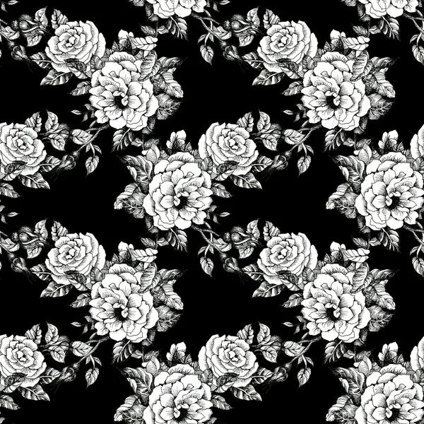 Квітучі троянди ескіз фону — стокове фото