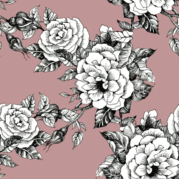 Floração rosas esboço fundo — Fotografia de Stock