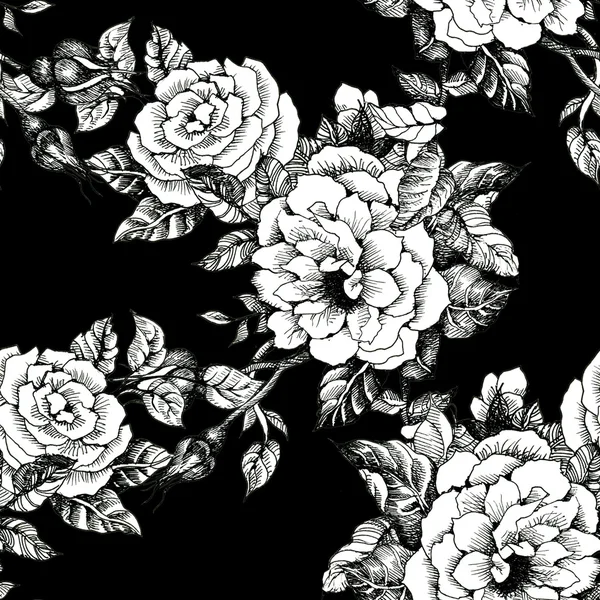 Kvetoucí růže náčrt pozadí — Stock fotografie