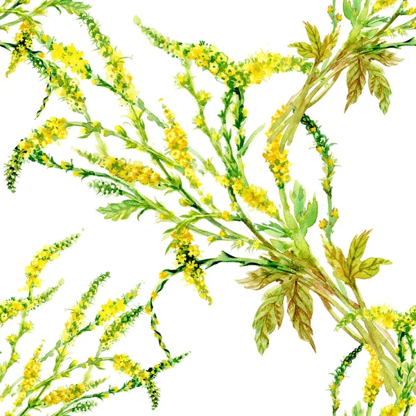 Nahtloses Wildblumen-Muster — Stockfoto