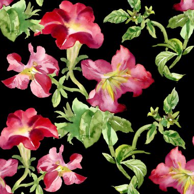 Petunya çiçek arka plan