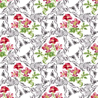 Petunya çiçek arka plan