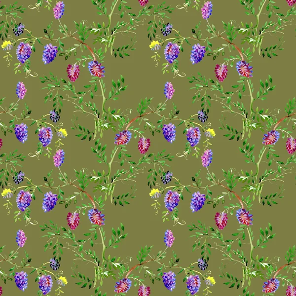 Wildflowers seamless pattern — Stock Photo, Image