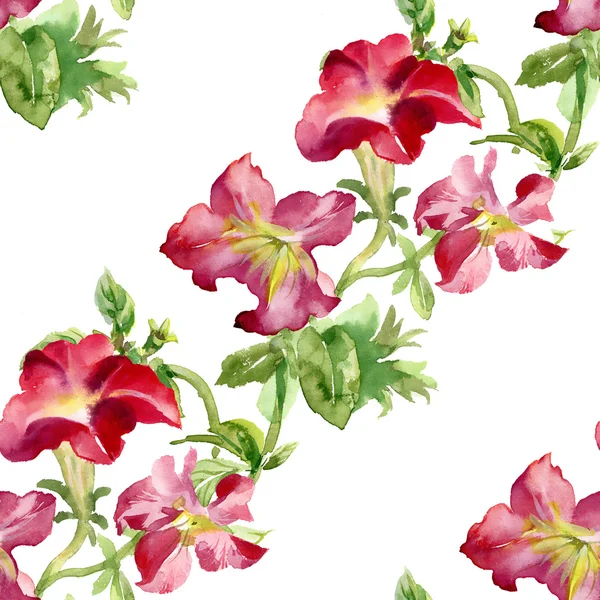 Petunia blommor bakgrund — Stockfoto