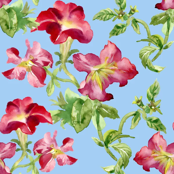 Petunia fiori sfondo — Foto Stock