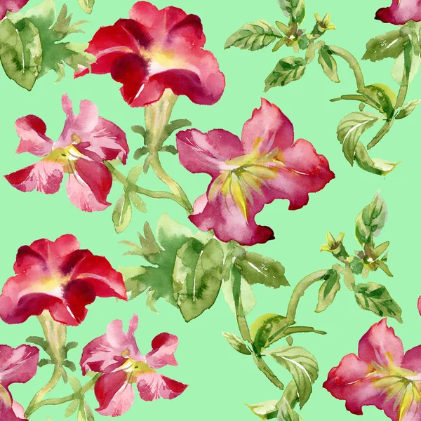 Petunia blommor bakgrund — Stockfoto