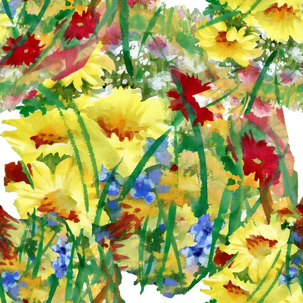 Watercolor field flowers bouquet — Stock Photo, Image