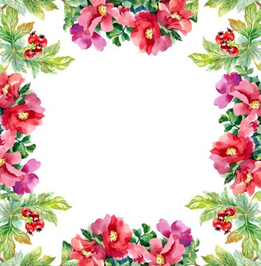 alıç şube ve kır çiçekleri