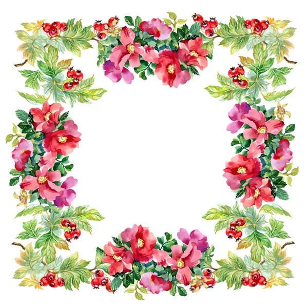 Petunya çiçekli alıç Şubesi