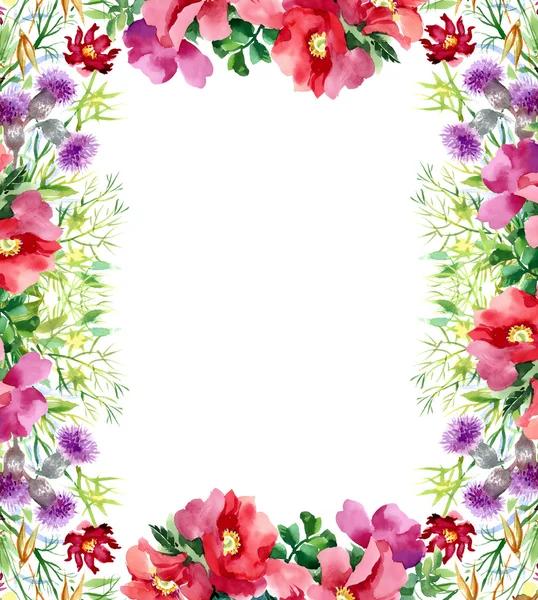Kolorowe kwiaty w akwarela — Zdjęcie stockowe