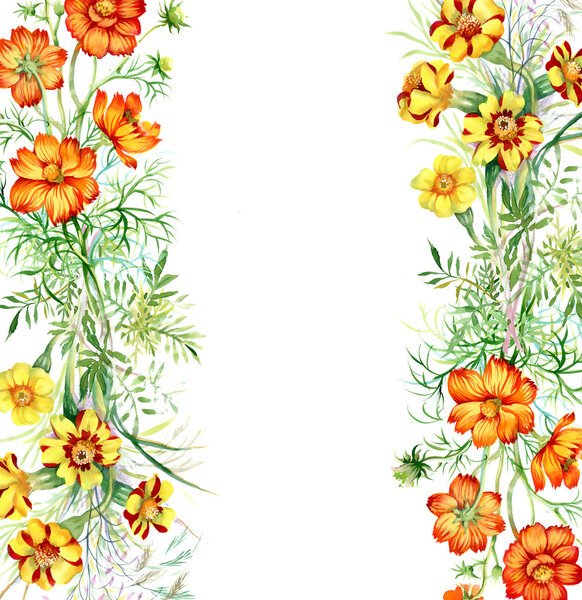 Colorful watercolor wildflowers