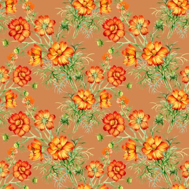 kır çiçekleri sbackground