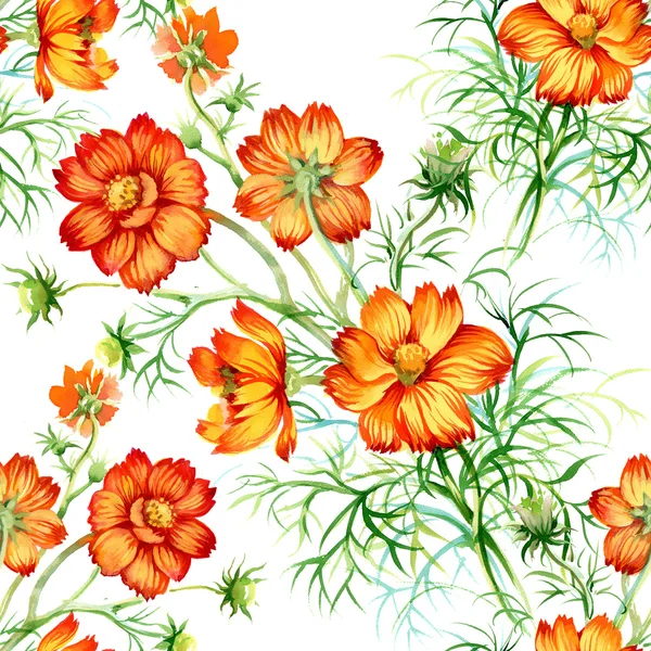 Vilda blommor sömlöst mönster — Stockfoto