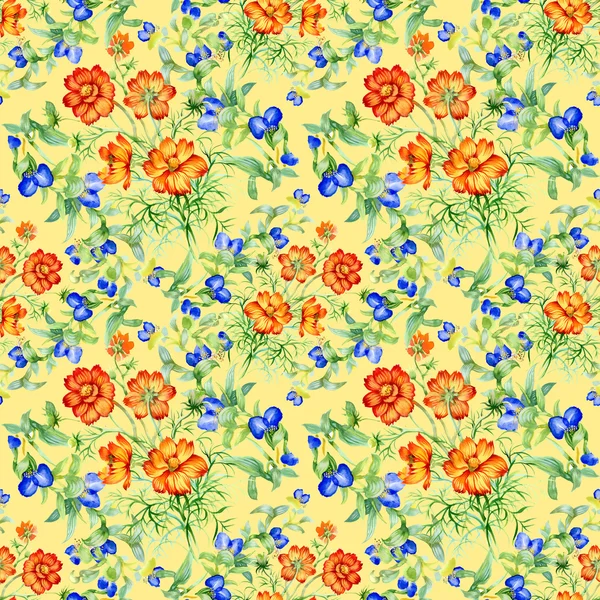 Wild flowers background — Stock Photo, Image