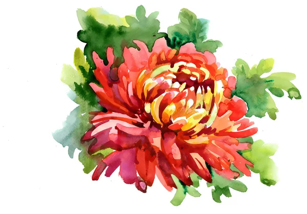 Kwiat akwareli — Zdjęcie stockowe