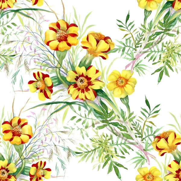 야생 꽃 패턴 — 스톡 사진