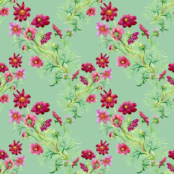 Wild flowers seamless pattern — Stock Photo, Image