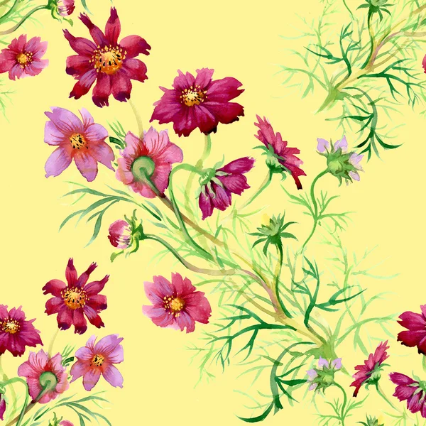 Dzikich kwiatów wzór — Zdjęcie stockowe