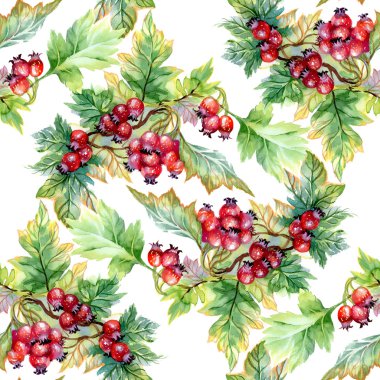 alıç şube seamless modeli