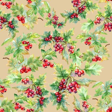 alıç şube seamless modeli