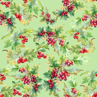 alıç şube seamless modeli