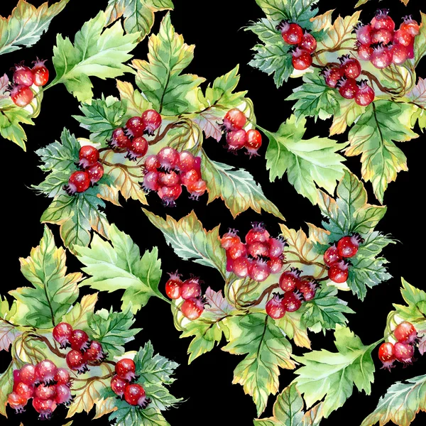 Hawthorn branch seamless pattern — Stock Photo, Image