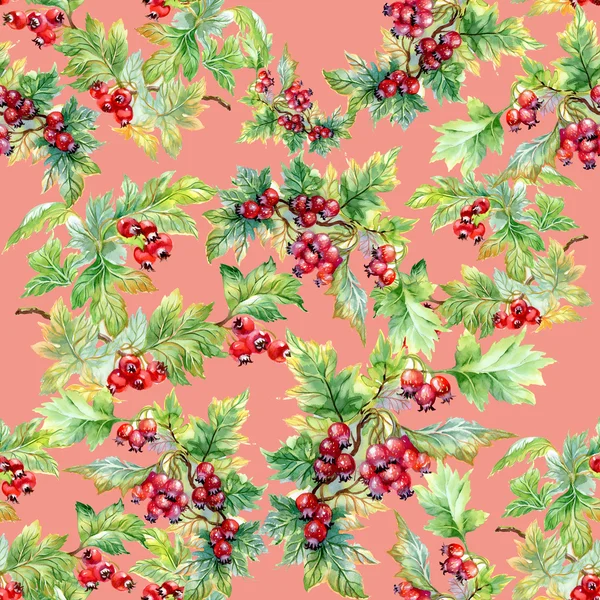 Hawthorn branch seamless pattern — Stock Photo, Image