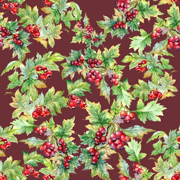 Hawthorn branch naadloze patroon — Stockfoto