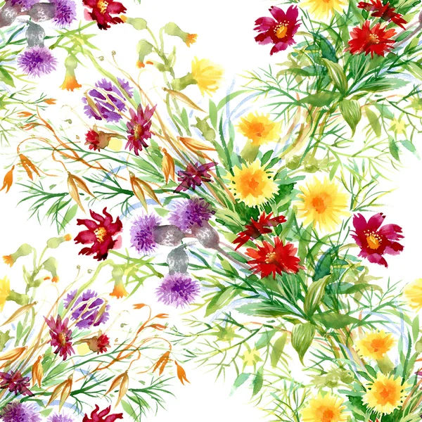 Wild flowers seamless pattern — Stock Photo, Image