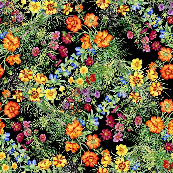 Άγρια λουλούδια χωρίς ραφή μοτίβο — Φωτογραφία Αρχείου