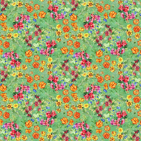 Wild flowers seamless pattern — Stock Photo, Image