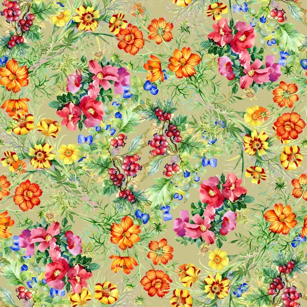 Wild flowers seamless pattern — Stock Photo, Image