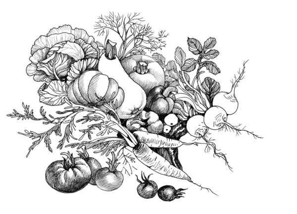 Ręcznie rysowane martwa warzyw — Zdjęcie stockowe