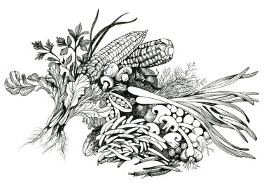 çizilmiş natürmort sebze el