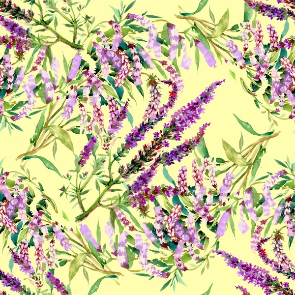 Acquerello viola campo fiore texture — Foto Stock