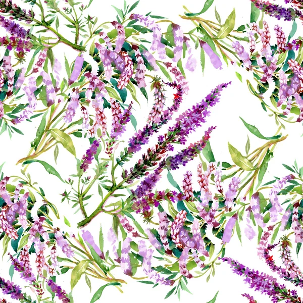 Akvarell violetta fältet blomma konsistens — Stockfoto