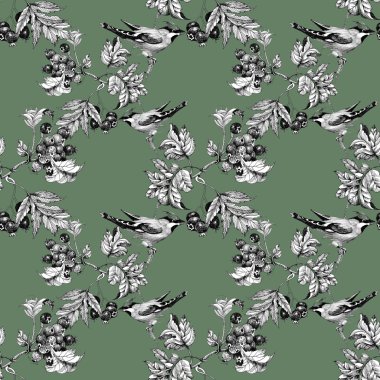 Kuşlarda dal seamless modeli