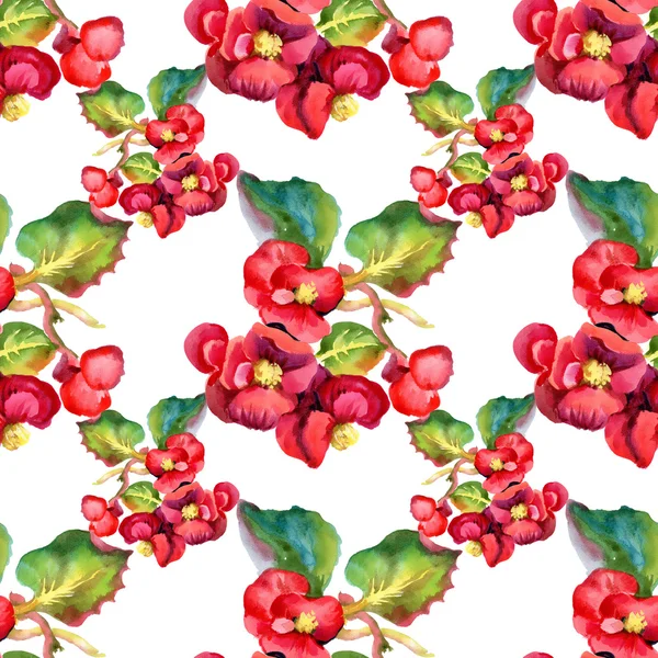 Watercolor red flowers  seamless pattern — Stock Photo, Image