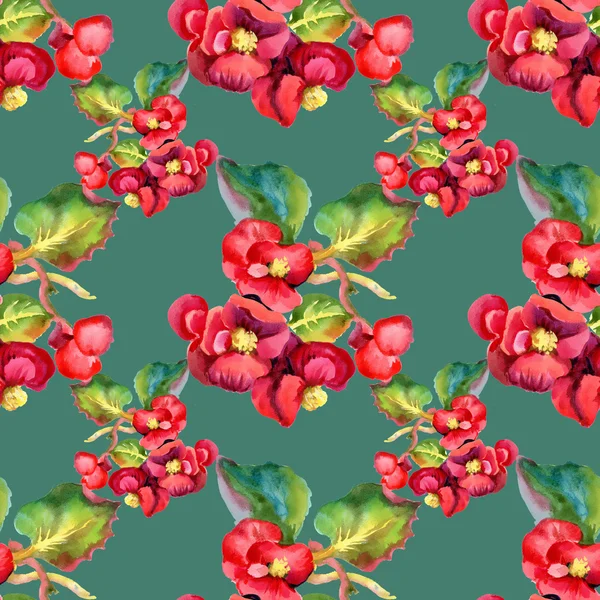 Watercolor red flowers  seamless pattern — Stock Photo, Image