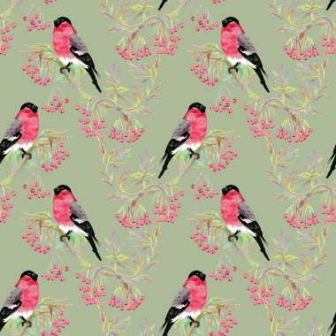 dal bullfinches