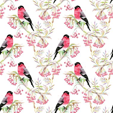 dal bullfinches