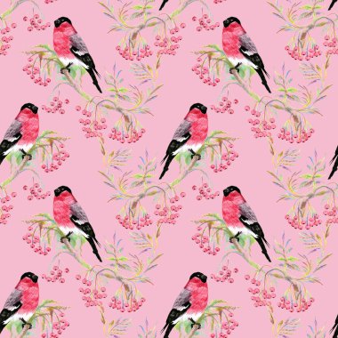 dal bullfinches